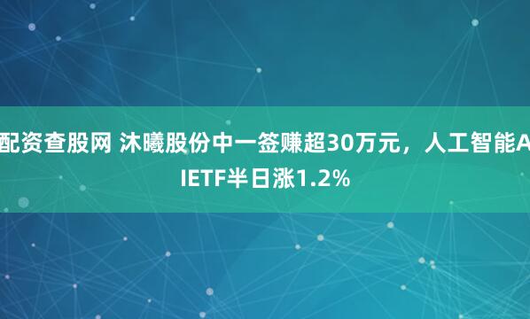 配资查股网 沐曦股份中一签赚超30万元，人工智能AIETF半日涨1.2%